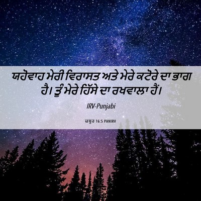 Picture 06 - ਜ਼ਬੂਰ 16:5 PANIRV - ਯਹੋਵਾਹ ਮੇਰੀ - Bible Verse Picture