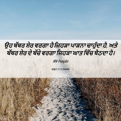 Picture 06 - ਜ਼ਬੂਰ 17:12 PANIRV - ਉਹ ਬੱਬਰ ਸ਼ੇਰ ਵਰਗਾ - Bible Verse Picture