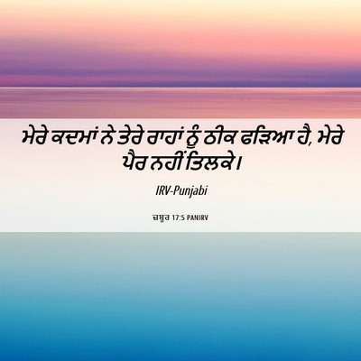 Picture 06 - ਜ਼ਬੂਰ 17:5 PANIRV - ਮੇਰੇ ਕਦਮਾਂ ਨੇ ਤੇਰੇ - Bible Verse Picture