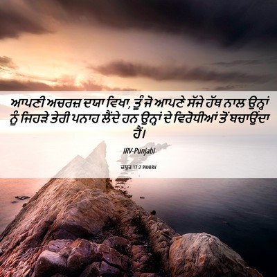 Picture 06 - ਜ਼ਬੂਰ 17:7 PANIRV - ਆਪਣੀ ਅਚਰਜ਼ ਦਯਾ - Bible Verse Picture