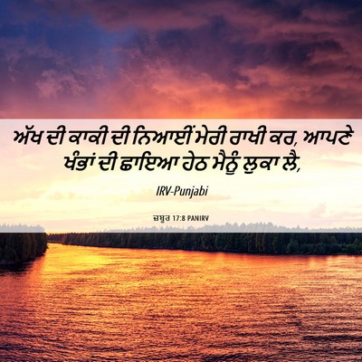 Picture 06 - ਜ਼ਬੂਰ 17:8 PANIRV - ਅੱਖ ਦੀ ਕਾਕੀ ਦੀ - Bible Verse Picture