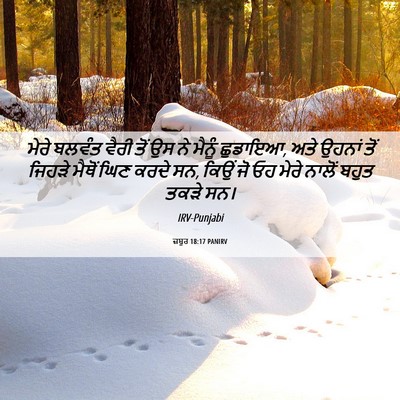 Picture 06 - ਜ਼ਬੂਰ 18:17 PANIRV - ਮੇਰੇ ਬਲਵੰਤ ਵੈਰੀ - Bible Verse Picture