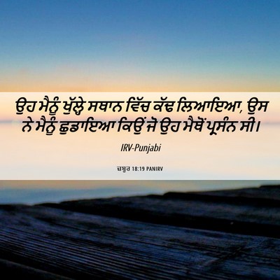 Picture 06 - ਜ਼ਬੂਰ 18:19 PANIRV - ਉਹ ਮੈਨੂੰ ਖੁੱਲ੍ਹੇ - Bible Verse Picture