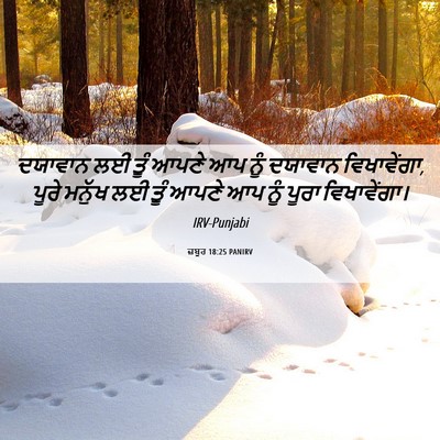 Picture 06 - ਜ਼ਬੂਰ 18:25 PANIRV - ਦਯਾਵਾਨ ਲਈ ਤੂੰ ਆਪਣੇ - Bible Verse Picture