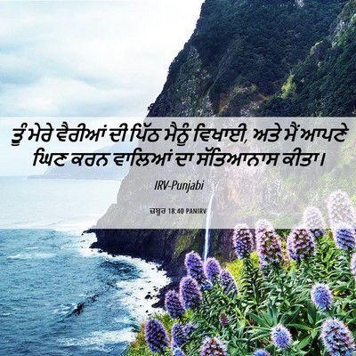 Picture 06 - ਜ਼ਬੂਰ 18:40 PANIRV - ਤੂੰ ਮੇਰੇ ਵੈਰੀਆਂ ਦੀ - Bible Verse Picture