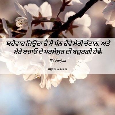 Picture 06 - ਜ਼ਬੂਰ 18:46 PANIRV - ਯਹੋਵਾਹ ਜਿਉਂਦਾ ਹੈ - Bible Verse Picture