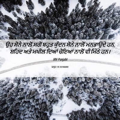 Picture 06 - ਜ਼ਬੂਰ 19:10 PANIRV - ਉਹ ਸੋਨੇ ਨਾਲੋਂ ਸਗੋਂ - Bible Verse Picture