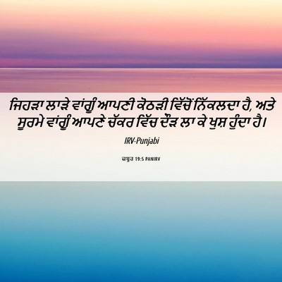 Picture 06 - ਜ਼ਬੂਰ 19:5 PANIRV - ਜਿਹੜਾ ਲਾੜੇ ਵਾਂਗੂੰ - Bible Verse Picture