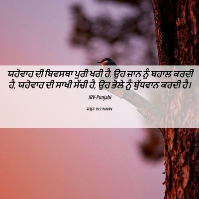 Picture 06 - ਜ਼ਬੂਰ 19:7 PANIRV - ਯਹੋਵਾਹ ਦੀ ਬਿਵਸਥਾ - Bible Verse Picture