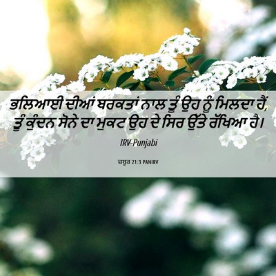 Picture 06 - ਜ਼ਬੂਰ 21:3 PANIRV - ਭਲਿਆਈ ਦੀਆਂ ਬਰਕਤਾਂ - Bible Verse Picture