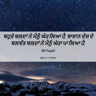 Picture 06 - ਜ਼ਬੂਰ 22:12 PANIRV - ਬਹੁਤੇ ਬਲ਼ਦਾਂ ਨੇ - Bible Verse Picture