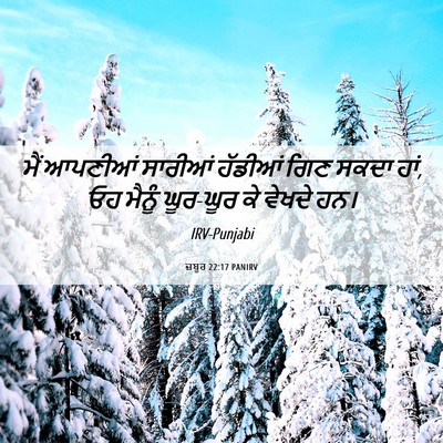 Picture 06 - ਜ਼ਬੂਰ 22:17 PANIRV - ਮੈਂ ਆਪਣੀਆਂ ਸਾਰੀਆਂ - Bible Verse Picture
