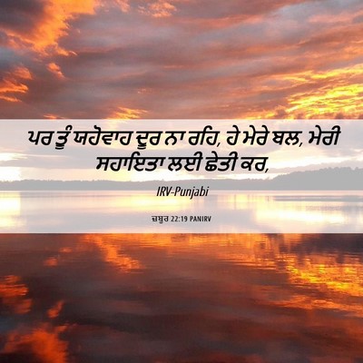 Picture 06 - ਜ਼ਬੂਰ 22:19 PANIRV - ਪਰ ਤੂੰ ਯਹੋਵਾਹ ਦੂਰ - Bible Verse Picture