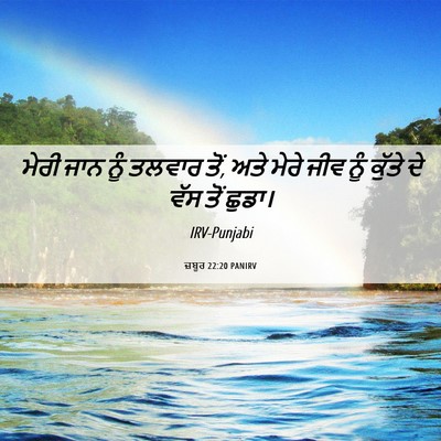 Picture 06 - ਜ਼ਬੂਰ 22:20 PANIRV - ਮੇਰੀ ਜਾਨ ਨੂੰ ਤਲਵਾਰ - Bible Verse Picture