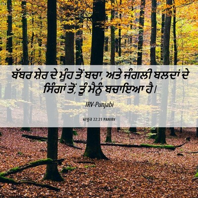 Picture 06 - ਜ਼ਬੂਰ 22:21 PANIRV - ਬੱਬਰ ਸ਼ੇਰ ਦੇ ਮੂੰਹ - Bible Verse Picture