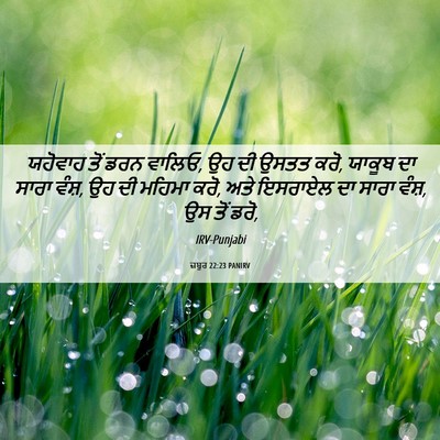 Picture 06 - ਜ਼ਬੂਰ 22:23 PANIRV - ਯਹੋਵਾਹ ਤੋਂ ਡਰਨ - Bible Verse Picture