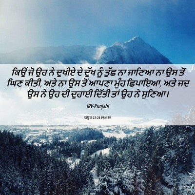 Picture 06 - ਜ਼ਬੂਰ 22:24 PANIRV - ਕਿਉਂ ਜੋ ਉਹ ਨੇ ਦੁਖੀਏ - Bible Verse Picture