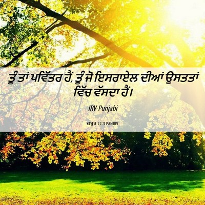 Picture 06 - ਜ਼ਬੂਰ 22:3 PANIRV - ਤੂੰ ਤਾਂ ਪਵਿੱਤਰ ਹੈਂ, - Bible Verse Picture