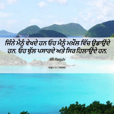Picture 06 - ਜ਼ਬੂਰ 22:7 PANIRV - ਜਿੰਨੇ ਮੈਨੂੰ ਵੇਖਦੇ - Bible Verse Picture