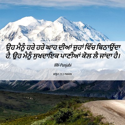 Picture 06 - ਜ਼ਬੂਰ 23:2 PANIRV - ਉਹ ਮੈਨੂੰ ਹਰੇ ਹਰੇ - Bible Verse Picture