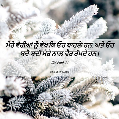 Picture 06 - ਜ਼ਬੂਰ 25:19 PANIRV - ਮੇਰੇ ਵੈਰੀਆਂ ਨੂੰ - Bible Verse Picture