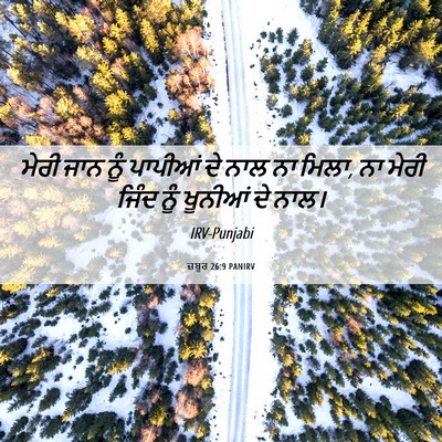 Picture 06 - ਜ਼ਬੂਰ 26:9 PANIRV - ਮੇਰੀ ਜਾਨ ਨੂੰ - Bible Verse Picture