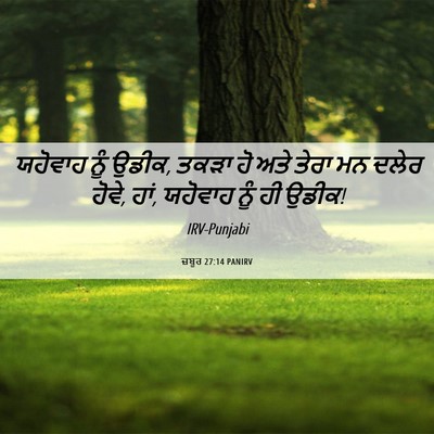 Picture 06 - ਜ਼ਬੂਰ 27:14 PANIRV - ਯਹੋਵਾਹ ਨੂੰ ਉਡੀਕ, - Bible Verse Picture