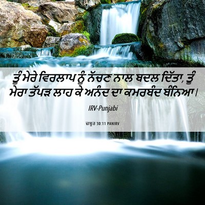 Picture 06 - ਜ਼ਬੂਰ 30:11 PANIRV - ਤੂੰ ਮੇਰੇ ਵਿਰਲਾਪ - Bible Verse Picture