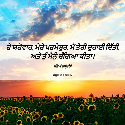 Picture 06 - ਜ਼ਬੂਰ 30:2 PANIRV - ਹੇ ਯਹੋਵਾਹ, ਮੇਰੇ - Bible Verse Picture