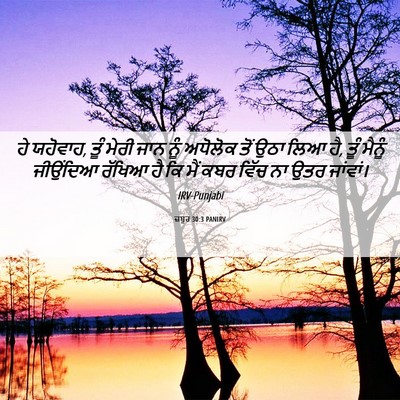 Picture 06 - ਜ਼ਬੂਰ 30:3 PANIRV - ਹੇ ਯਹੋਵਾਹ, ਤੂੰ ਮੇਰੀ - Bible Verse Picture