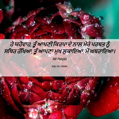 Picture 06 - ਜ਼ਬੂਰ 30:7 PANIRV - ਹੇ ਯਹੋਵਾਹ, ਤੂੰ ਆਪਣੀ - Bible Verse Picture