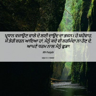 Picture 06 - ਜ਼ਬੂਰ 31:1 PANIRV - ਪ੍ਰਧਾਨ ਵਜਾਉਣ ਵਾਲੇ - Bible Verse Picture
