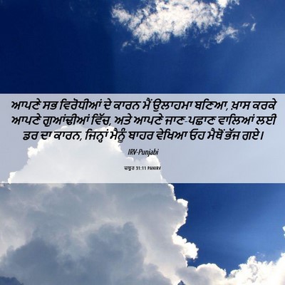 Picture 06 - ਜ਼ਬੂਰ 31:11 PANIRV - ਆਪਣੇ ਸਭ ਵਿਰੋਧੀਆਂ - Bible Verse Picture
