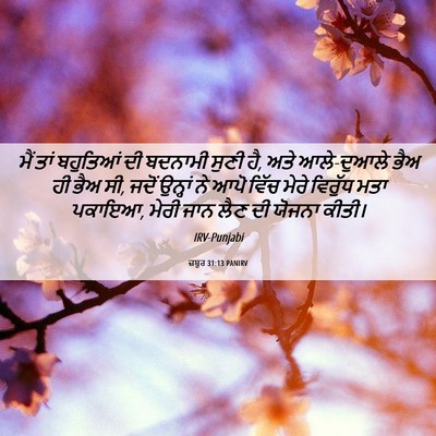 Picture 06 - ਜ਼ਬੂਰ 31:13 PANIRV - ਮੈਂ ਤਾਂ ਬਹੁਤਿਆਂ ਦੀ - Bible Verse Picture