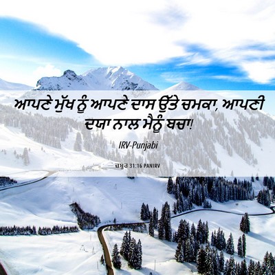 Picture 06 - ਜ਼ਬੂਰ 31:16 PANIRV - ਆਪਣੇ ਮੁੱਖ ਨੂੰ ਆਪਣੇ - Bible Verse Picture