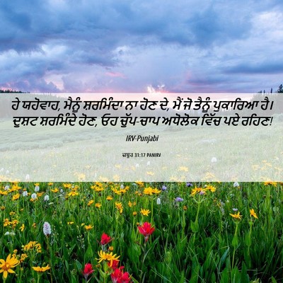 Picture 06 - ਜ਼ਬੂਰ 31:17 PANIRV - ਹੇ ਯਹੋਵਾਹ, ਮੈਨੂੰ - Bible Verse Picture