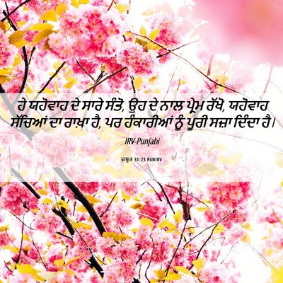 Picture 06 - ਜ਼ਬੂਰ 31:23 PANIRV - ਹੇ ਯਹੋਵਾਹ ਦੇ ਸਾਰੇ - Bible Verse Picture