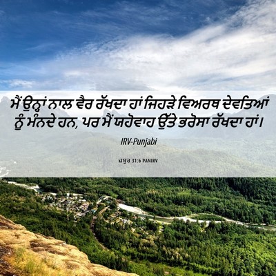 Picture 06 - ਜ਼ਬੂਰ 31:6 PANIRV - ਮੈਂ ਉਨ੍ਹਾਂ ਨਾਲ ਵੈਰ - Bible Verse Picture