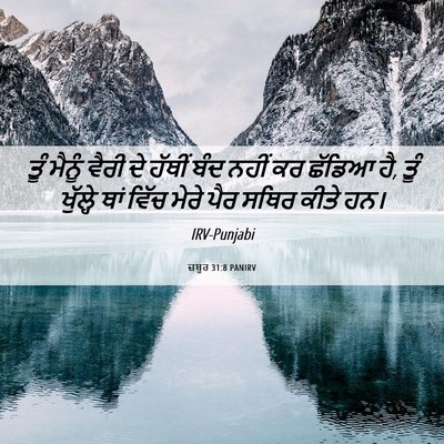 Picture 06 - ਜ਼ਬੂਰ 31:8 PANIRV - ਤੂੰ ਮੈਨੂੰ ਵੈਰੀ ਦੇ - Bible Verse Picture