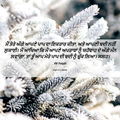 Picture 06 - ਜ਼ਬੂਰ 32:5 PANIRV - ਮੈਂ ਤੇਰੇ ਅੱਗੇ ਆਪਣੇ - Bible Verse Picture