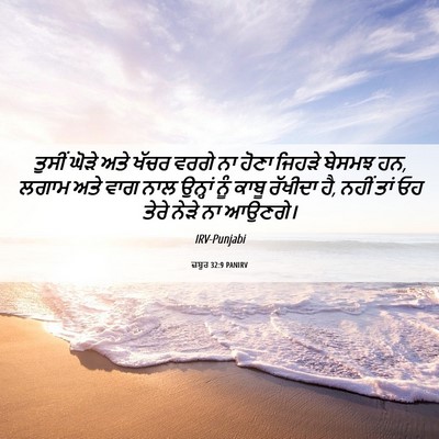 Picture 06 - ਜ਼ਬੂਰ 32:9 PANIRV - ਤੁਸੀਂ ਘੋੜੇ ਅਤੇ - Bible Verse Picture
