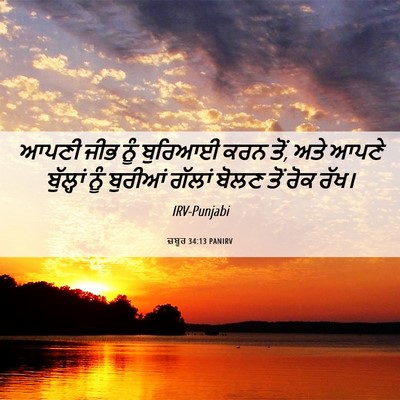 Picture 06 - ਜ਼ਬੂਰ 34:13 PANIRV - ਆਪਣੀ ਜੀਭ ਨੂੰ - Bible Verse Picture