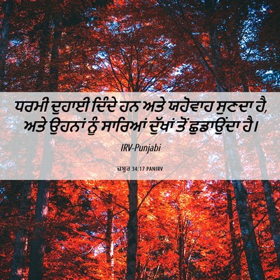 Picture 06 - ਜ਼ਬੂਰ 34:17 PANIRV - ਧਰਮੀ ਦੁਹਾਈ ਦਿੰਦੇ - Bible Verse Picture