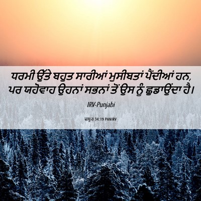 Picture 06 - ਜ਼ਬੂਰ 34:19 PANIRV - ਧਰਮੀ ਉੱਤੇ ਬਹੁਤ - Bible Verse Picture