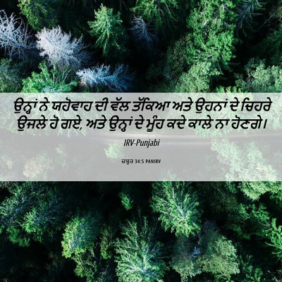 Picture 06 - ਜ਼ਬੂਰ 34:5 PANIRV - ਉਨ੍ਹਾਂ ਨੇ ਯਹੋਵਾਹ - Bible Verse Picture