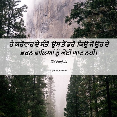 Picture 06 - ਜ਼ਬੂਰ 34:9 PANIRV - ਹੇ ਯਹੋਵਾਹ ਦੇ ਸੰਤੋ, - Bible Verse Picture