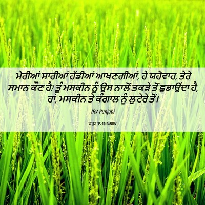 Picture 06 - ਜ਼ਬੂਰ 35:10 PANIRV - ਮੇਰੀਆਂ ਸਾਰੀਆਂ - Bible Verse Picture