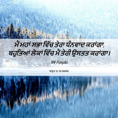 Picture 06 - ਜ਼ਬੂਰ 35:18 PANIRV - ਮੈਂ ਮਹਾਂ-ਸਭਾ ਵਿੱਚ - Bible Verse Picture