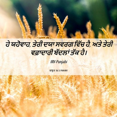 Picture 06 - ਜ਼ਬੂਰ 36:5 PANIRV - ਹੇ ਯਹੋਵਾਹ, ਤੇਰੀ ਦਯਾ - Bible Verse Picture