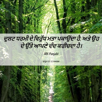 Picture 06 - ਜ਼ਬੂਰ 37:12 PANIRV - ਦੁਸ਼ਟ ਧਰਮੀ ਦੇ - Bible Verse Picture